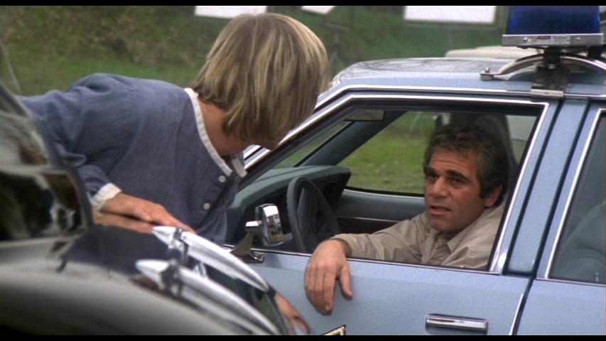 The Stunt Man