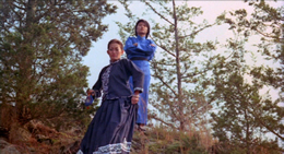 Vixens of Kung Fu