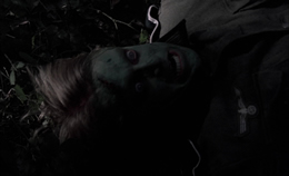 Zombie Lake